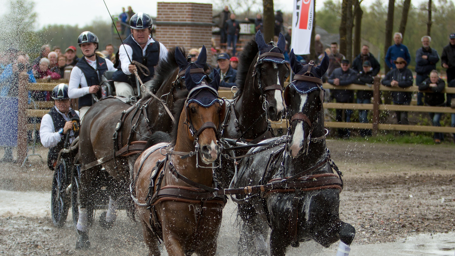 Foto: Paardensportcentrum Exell Equestrian (Valkenswaard) - Arom